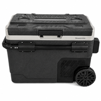 Portable Fridge 49l - 1.7 cu ft. Black & Grey - LG